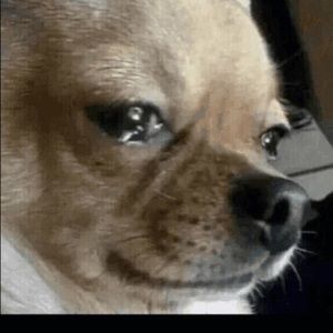 Meet your Posher, Carlos